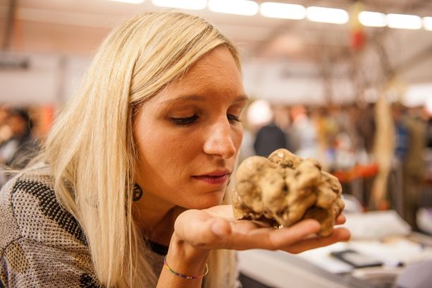 Oggi apre il Mercato Mondiale del Tartufo Bianco d'Alba: inizia la Fiera! Oggi apre il Mercato Mondiale del Tartufo Bianco d'Alba: inizia la Fiera!