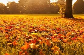 Tutti gli appuntamenti per questo fine settimana in Granda Tutti gli appuntamenti per questo fine settimana in Granda