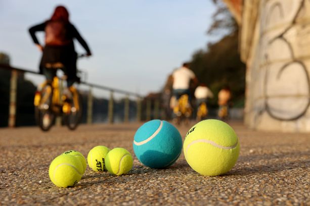 Atp Finals 2022, oltre 150 milioni di ricadute economiche per Torino: &quot;Uno spettatore su due ha visitato i musei&quot;