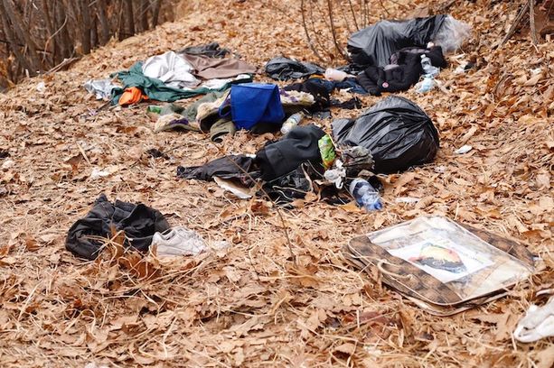 Spaccio nei boschi dell’alto Varesotto, maxi operazione della polizia: dodici arresti