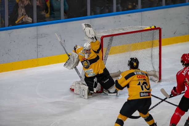Il Pergine è un virus che colpisce anche i Mastini più belli: gara 1 diventa una beffa all'Acinque Ice Arena Il Pergine è un virus che colpisce anche i Mastini più belli: gara 1 diventa una beffa all'Acinque Ice Arena