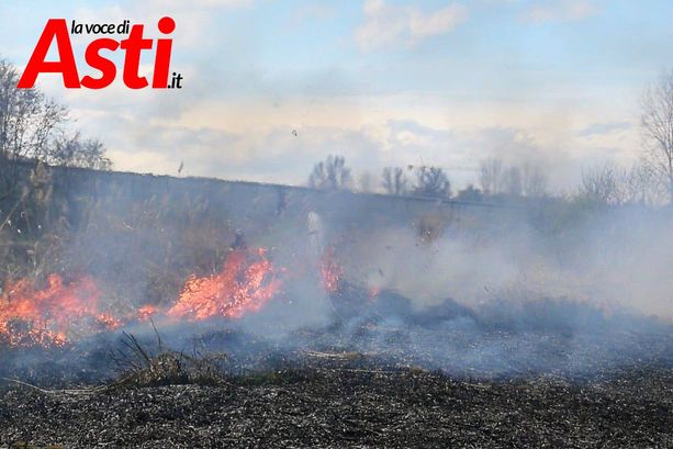Vasto incendio di sterpaglie lungo il Borbore [GALLERIA FOTOGRAFICA]