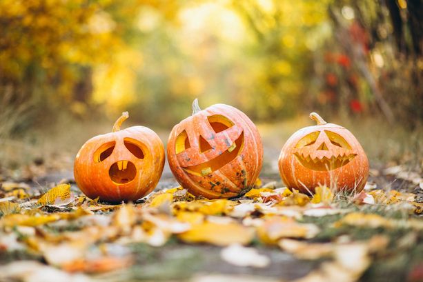 Halloween si avvicina: cosa fare in Canton Ticino nella notte più spaventosa dell'anno Halloween si avvicina: cosa fare in Canton Ticino nella notte più spaventosa dell'anno