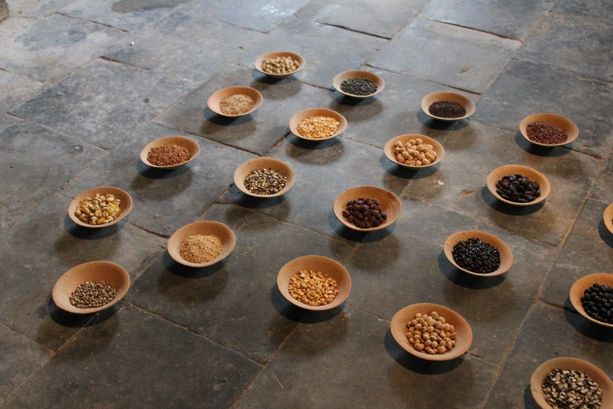 Mouans-Sartoux: mostra di Herman de Vries, al servizio della natura