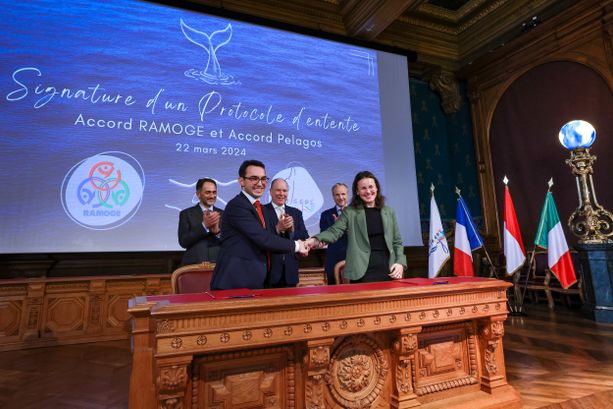 Monaco, siglato un protocollo d'intesa tra Accord Ramoge e Pelagos Monaco, siglato un protocollo d'intesa tra Accord Ramoge e Pelagos