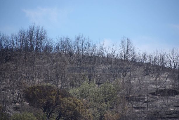 Incendio nell'albenganese, nuovi focolai nella notte: in corso le operazioni di spegnimento