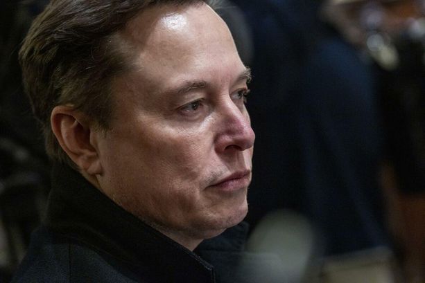 Caso Roggero, dice la sua pure Musk: "È una follia, giudice e pm meritano condanna" Caso Roggero, dice la sua pure Musk: "È una follia, giudice e pm meritano condanna"