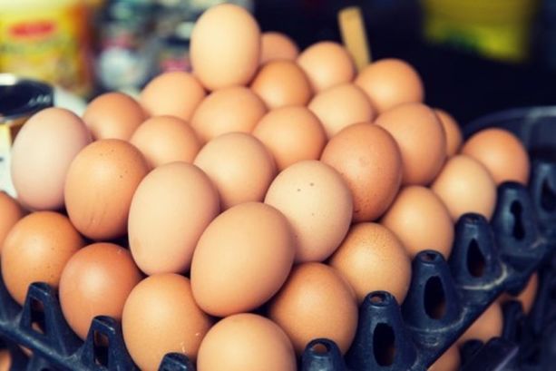 A processo per le uova al Fipronil: dopo quattro anni si va a sentenza