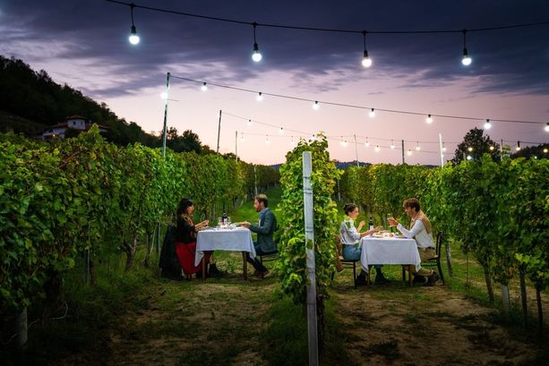 Conto alla rovescia per il Food For Future Festival ad Alba. "Vogliamo diventare un modello per il futuro"