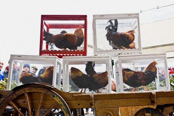 Dieci giorni al Natale: fine settimana tra presepi e mercatini ai quattro angoli della Granda Dieci giorni al Natale: fine settimana tra presepi e mercatini ai quattro angoli della Granda