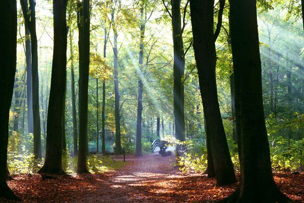 Cosa fare e dove andare oggi, prima domenica d’autunno Cosa fare e dove andare oggi, prima domenica d’autunno