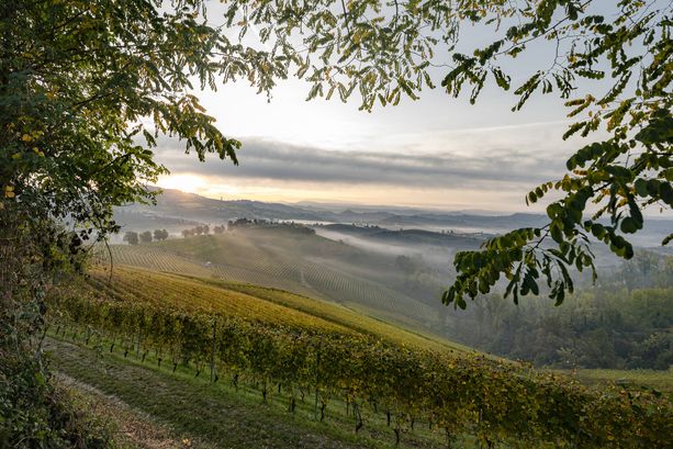Le bellezze delle colline Unesco in diretta streaming in 27 Paesi del mondo (FOTO E VIDEO)