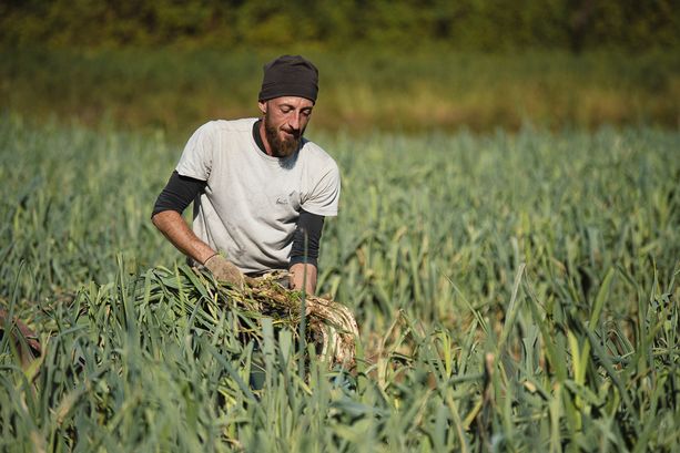 Appuntamenti nella Granda per questa domenica di novembre Appuntamenti nella Granda per questa domenica di novembre