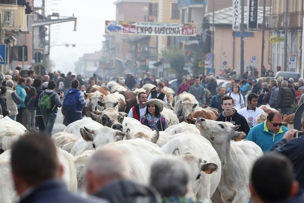 Il Covid interrompe una tradizione di 700 anni: Luserna San Giovanni cancella la Fiera dei Santi Il Covid interrompe una tradizione di 700 anni: Luserna San Giovanni cancella la Fiera dei Santi