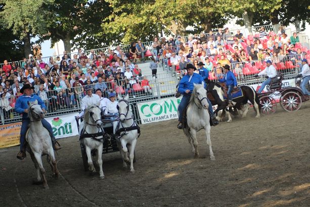 Vigone: Fiera del mais e dei cavalli con giostre e contest in bianco e rosso Vigone: Fiera del mais e dei cavalli con giostre e contest in bianco e rosso