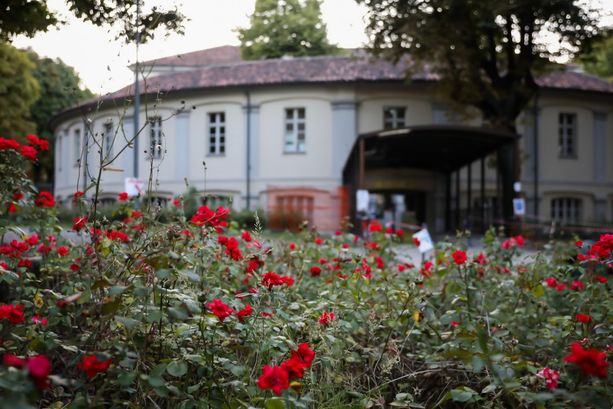 Dall'aula studio ai concerti live: settembre all'aperto nei giardini dell'anagrafe
