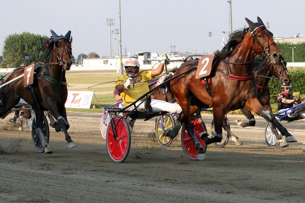 Domenica 31 maggio, si torna a correre al trotto a Vinovo Domenica 31 maggio, si torna a correre al trotto a Vinovo