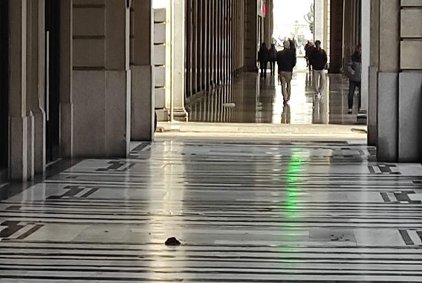 Degrado nel cuore di Torino, quando i portici di via Roma diventano un wc a cielo aperto [FOTO]