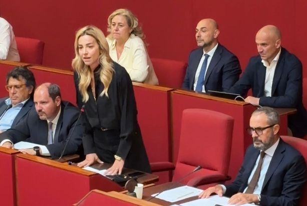 Sicurezza, è ancora scontro in consiglio comunale. Salis alla minoranza: "Non fate gli avvoltoi scaricando sul Comune un problema endemico nel Paese" Sicurezza, è ancora scontro in consiglio comunale. Salis alla minoranza: "Non fate gli avvoltoi scaricando sul Comune un problema endemico nel Paese"
