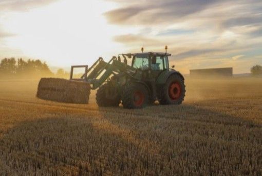 Dall’indagine ‘Gli italiani e l’agricoltura’ emerge la fiducia nel mercato contadino