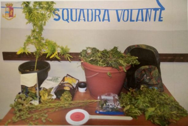 Perde le chiavi e chiama i vigili del fuoco: in casa gli trovano 1,8 chili di marijuana Perde le chiavi e chiama i vigili del fuoco: in casa gli trovano 1,8 chili di marijuana