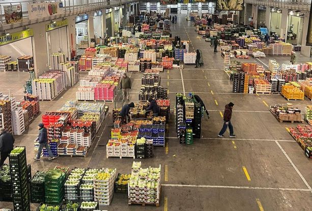 Mercato ortofrutticolo, la Lega porta il caso in Comune: "Tuteliamo i negozi di vicinato e la viabilità della delegazione" Mercato ortofrutticolo, la Lega porta il caso in Comune: "Tuteliamo i negozi di vicinato e la viabilità della delegazione"