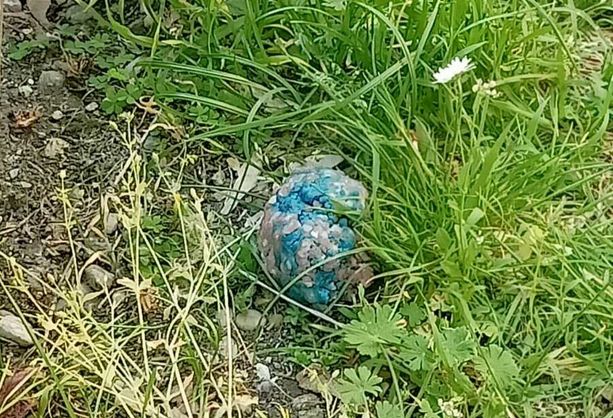 Allarme bocconi avvelenati: esche killer nei giardini di Mirafiori [FOTO]