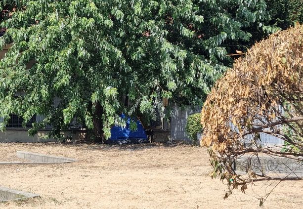 Pinerolo: si accampa nei giardini vicino all’ufficio postale