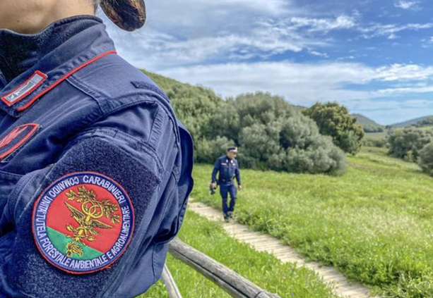 Porto Valtravaglia, sostanze tossiche nel torrente: i carabinieri denunciano il titolare di una ditta