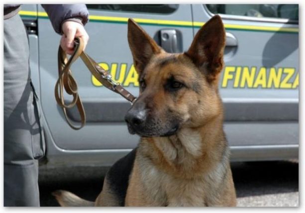 È stata assolta l'impiegata bancaria canellese accusata di riciclaggio