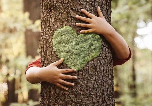 Le imprese manifatturiere crescono agendo in favore della sostenibilità ambientale Le imprese manifatturiere crescono agendo in favore della sostenibilità ambientale