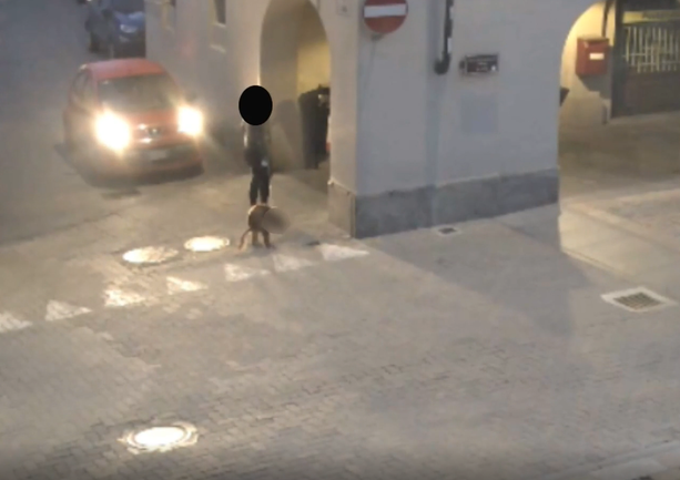 Non raccoglie i bisogni del cane: ripresa dalle telecamere a Vigone [VIDEO]