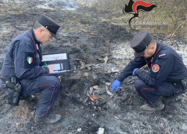 Incendi nei boschi di Induno Olona e Ispra, i carabinieri Forestali individuano i presunti responsabili