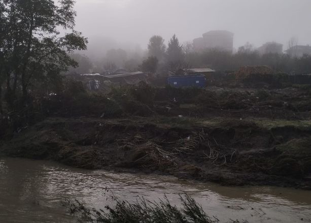 Cairo, la strage degli animali travolti dalla piena del fiume Bormida Cairo, la strage degli animali travolti dalla piena del fiume Bormida