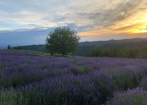 Primo fine settimana d’estate: ecco qualche idea per trascorrerlo nella Granda