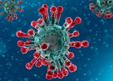 Coronavirus in Piemonte: oltre 22 mila i guariti, dieci i decessi comunicati oggi dall'Unità di Crisi