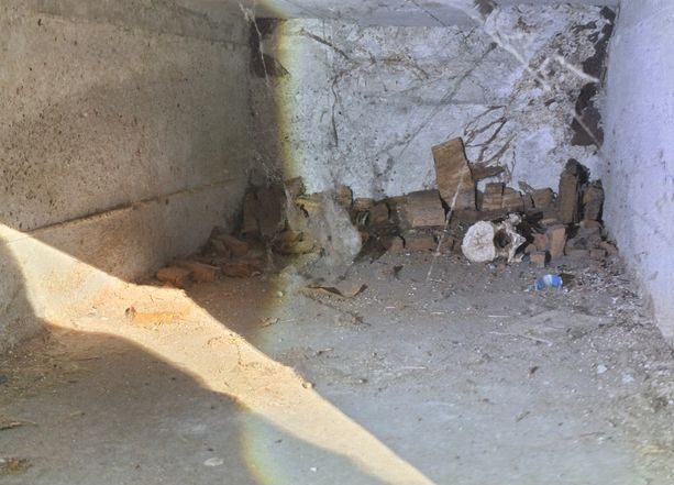 Orrore al cimitero Monumentale: "Ossa in vista e loculi scoperti" Orrore al cimitero Monumentale: "Ossa in vista e loculi scoperti"