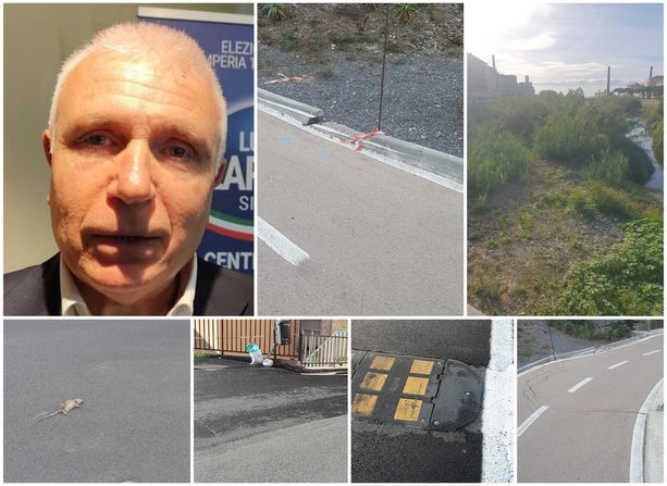 Zarbano: "In città forte aumento di mosche, zanzare, di ratti e anche di...parassiti" Zarbano: "In città forte aumento di mosche, zanzare, di ratti e anche di...parassiti"
