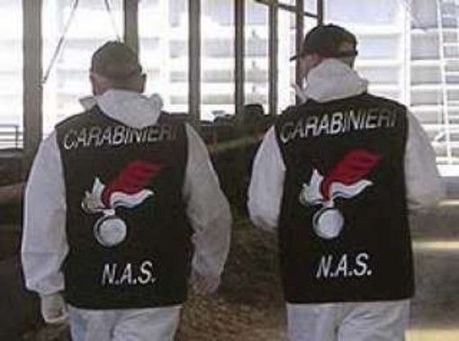 Sbaragliata dai carabinieri del Nas un’organizzazione dedita alla contraffazione di vino pregiato