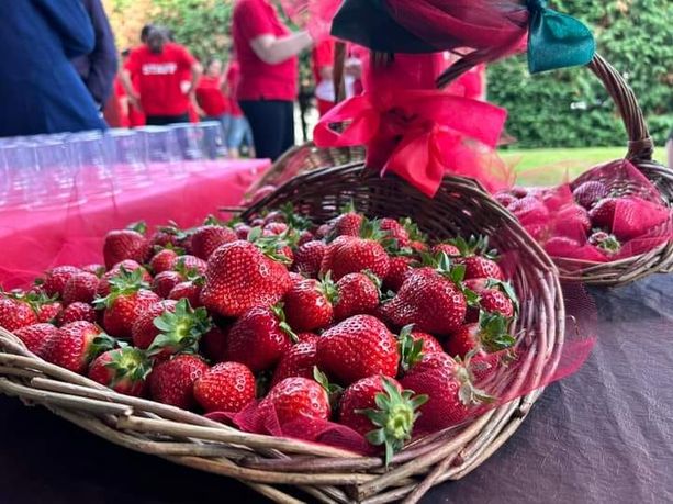 Appuntamenti nella Granda in programma per questo fine settimana di giugno Appuntamenti nella Granda in programma per questo fine settimana di giugno