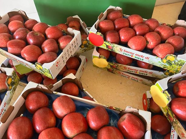 Dalla crisi climatica al caro materiali: il comparto frutticolo si prepara alle prossime sfide [FOTO E VIDEO]