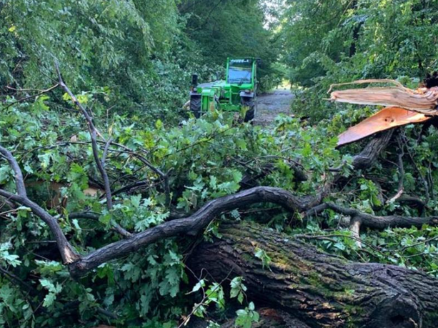 Maltempo, il nubifragio costringe alla chiusura il parco della Mandria Maltempo, il nubifragio costringe alla chiusura il parco della Mandria