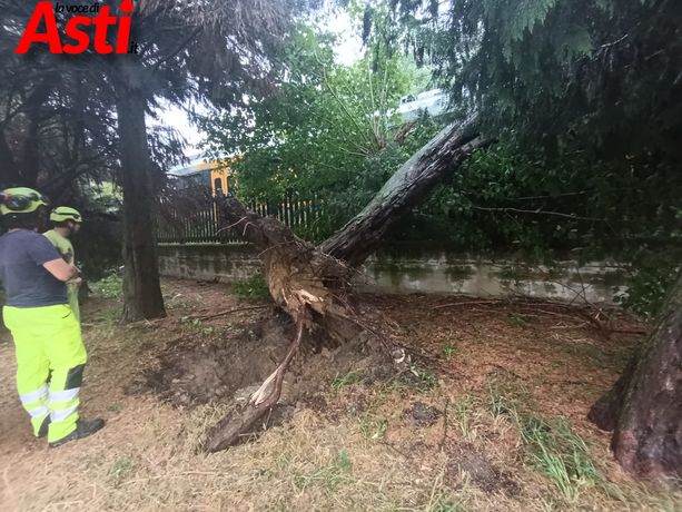 Maltempo sull'Astigiano: albero cade sui binari ad Asti, bloccato il treno per Acqui Terme. I passeggeri fatti scendere dai vigili del fuoco [FOTO E VIDEO]