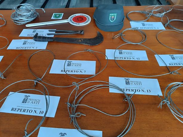 Un denunciato per attività di bracconaggio nelle aree boschive di Valleandona e Montegrosso Cinaglio Un denunciato per attività di bracconaggio nelle aree boschive di Valleandona e Montegrosso Cinaglio