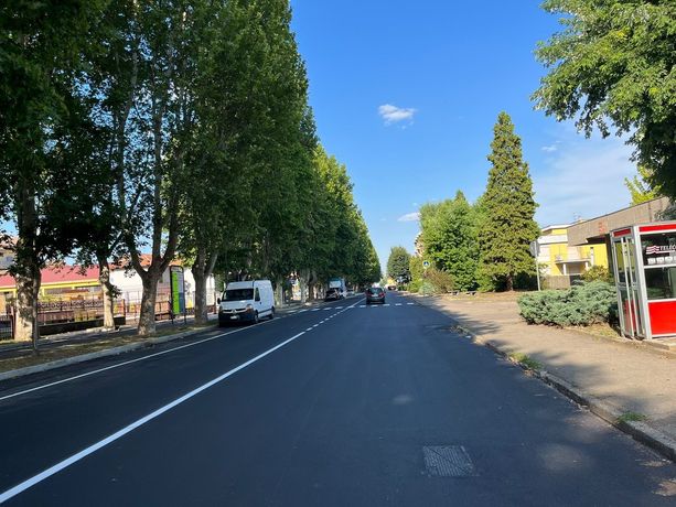 Asti: paura in viale Pilone. Grosso ramo finisce contro auto in sosta