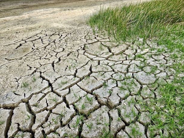 Emergenza siccità in Piemonte, Canalis attacca Cirio: "Solo due invasi realizzati dal 2019, servono interventi urgenti"