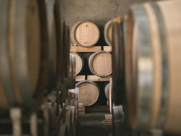 Al via le “Giornate delle cantine aperte” in Ticino Al via le “Giornate delle cantine aperte” in Ticino