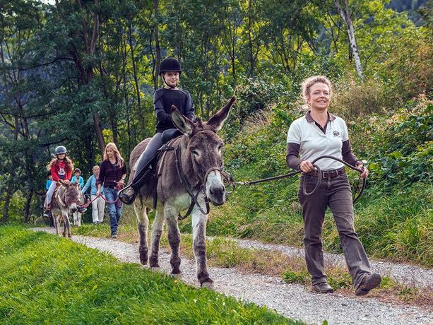 Trekking e avventure con gli asini