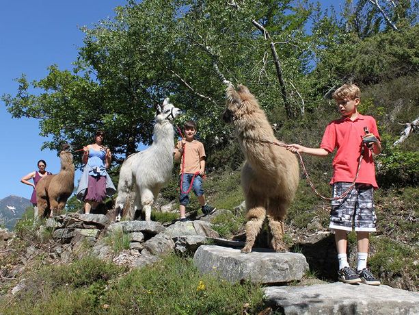 Tra le tante curiosità il Ticino offre anche il lamatrekking