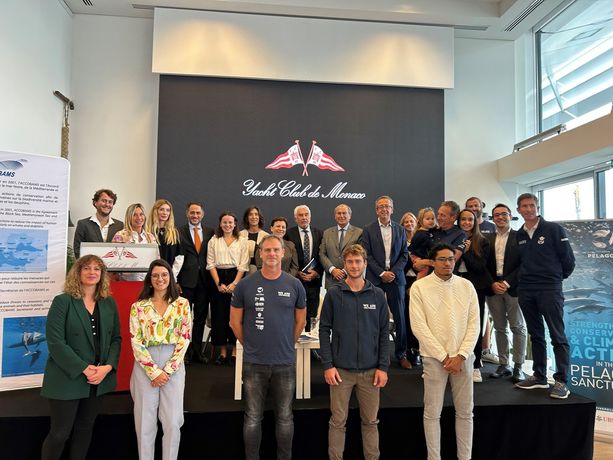 Interazione tra navigazione marina e cetacei, a Monaco un incontro sul tema Interazione tra navigazione marina e cetacei, a Monaco un incontro sul tema